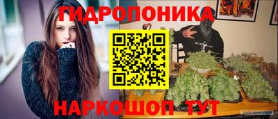 соль ск Будённовск