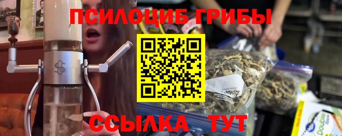 Галлюциногенные грибы Psilocybine cubensis Шадринск